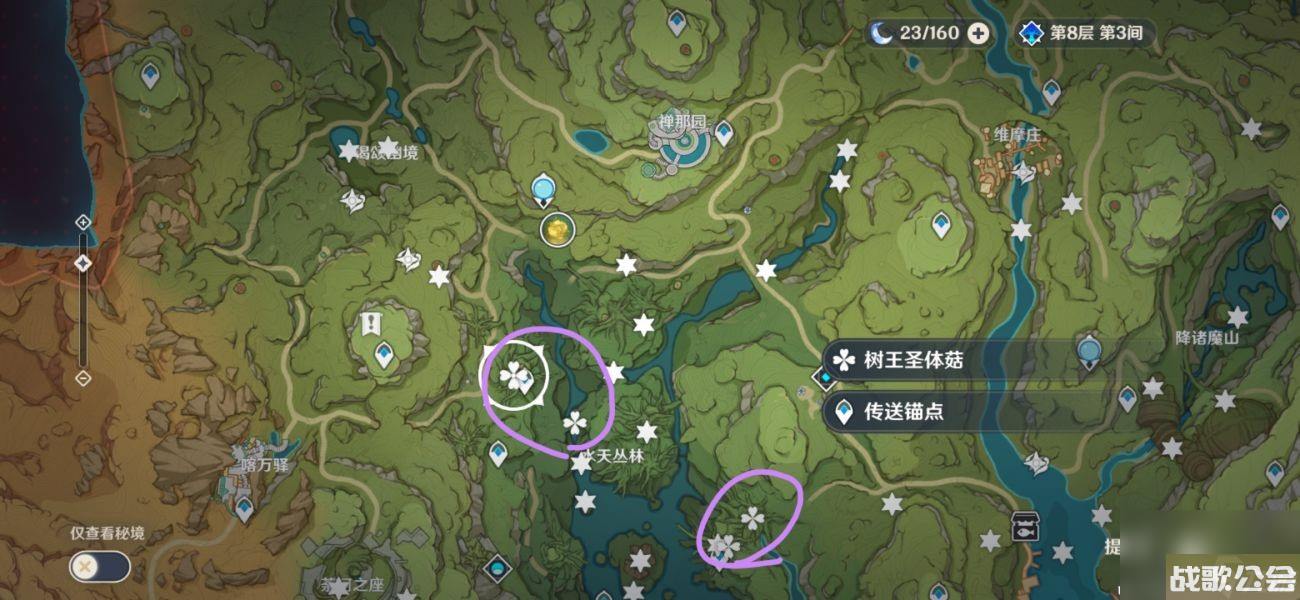 原神树王圣体菇采集路线最新是什么