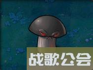 植物大战僵尸49个植物介绍是什么