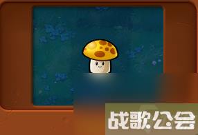 植物大战僵尸全部角色都有什么 