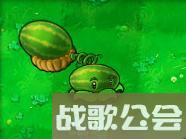 植物大战僵尸的所有植物的名称是什么