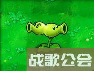 植物大战僵尸49个植物介绍是什么