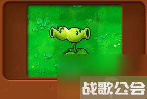 植物大战僵尸全部角色都有什么 