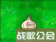 植物大战僵尸的所有植物的名称是什么