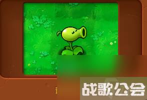 植物大战僵尸全部角色都有什么 