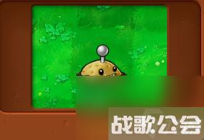 植物大战僵尸全部角色都有什么 