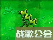 植物大战僵尸的所有植物的名称是什么