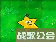 植物大战僵尸49个植物介绍是什么