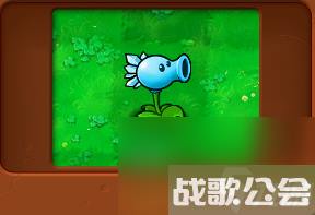 植物大战僵尸全部角色都有什么 