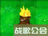 植物大战僵尸49个植物介绍是什么