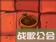 植物大战僵尸49个植物介绍是什么