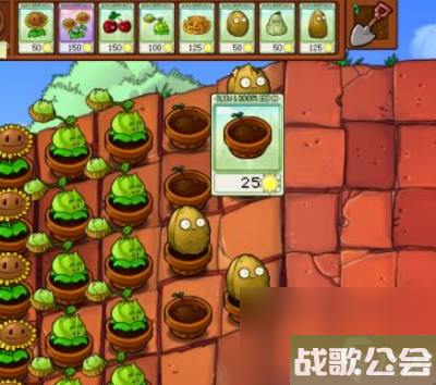 植物大战僵尸怎么爆花盆 