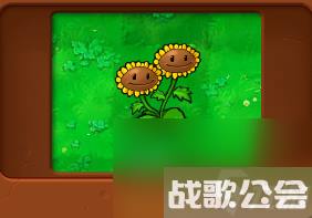 植物大战僵尸全部角色都有什么 