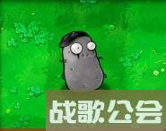 植物大战僵尸的所有植物的名称是什么