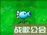 植物大战僵尸的所有植物的名称是什么