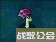 植物大战僵尸49个植物介绍是什么