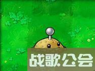 植物大战僵尸49个植物介绍是什么