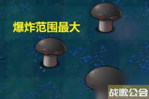 植物大战僵尸植物伤害排行榜都有什么 