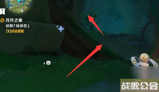 原神须弥的钵参花的山洞怎么进去