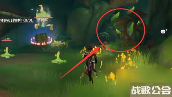 原神须弥的钵参花的山洞怎么进去