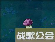 植物大战僵尸的所有植物的名称是什么