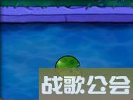 植物大战僵尸49个植物介绍是什么