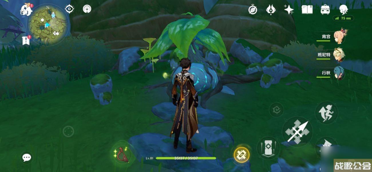 原神树王圣体菇采集路线最新是什么