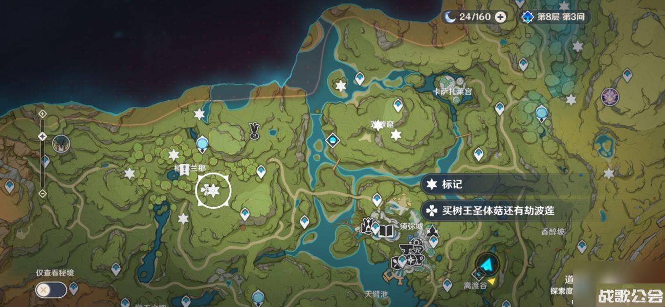 原神树王圣体菇采集路线最新是什么