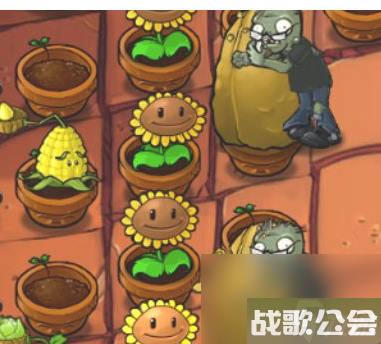 植物大战僵尸跳跳僵尸那关怎么过 