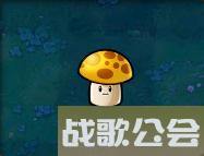 植物大战僵尸49个植物介绍是什么