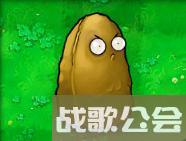 植物大战僵尸的所有植物的名称是什么