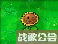 植物大战僵尸49个植物介绍是什么