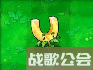 植物大战僵尸的所有植物的名称是什么