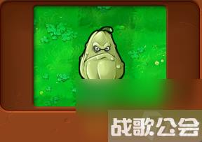 植物大战僵尸全部角色都有什么 