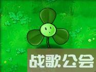 植物大战僵尸的所有植物的名称是什么