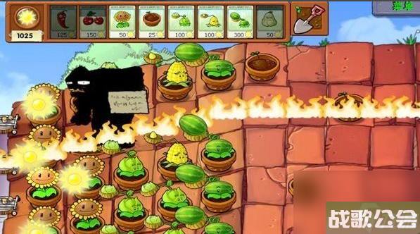 植物大战僵尸5-9关怎么过