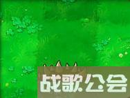 植物大战僵尸49个植物介绍是什么