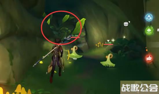 原神须弥的钵参花的山洞怎么进去