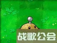 植物大战僵尸的所有植物的名称是什么