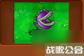 植物大战僵尸全部角色都有什么 