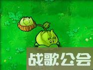 植物大战僵尸的所有植物的名称是什么