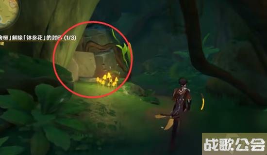 原神须弥的钵参花的山洞怎么进去