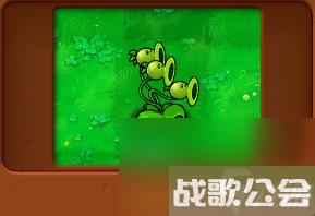 植物大战僵尸全部角色都有什么 