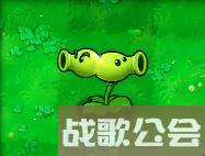 植物大战僵尸的所有植物的名称是什么