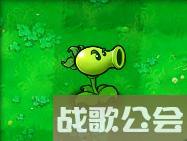 植物大战僵尸的所有植物的名称是什么