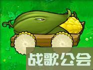 植物大战僵尸的所有植物的名称是什么