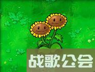 植物大战僵尸的所有植物的名称是什么