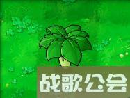 植物大战僵尸的所有植物的名称是什么