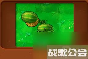 植物大战僵尸全部角色都有什么 