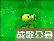 植物大战僵尸的所有植物的名称是什么