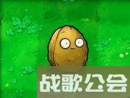 植物大战僵尸49个植物介绍是什么
